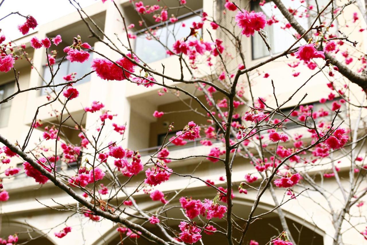 Tai-Yi Red Maple Resort Пули Экстерьер фото